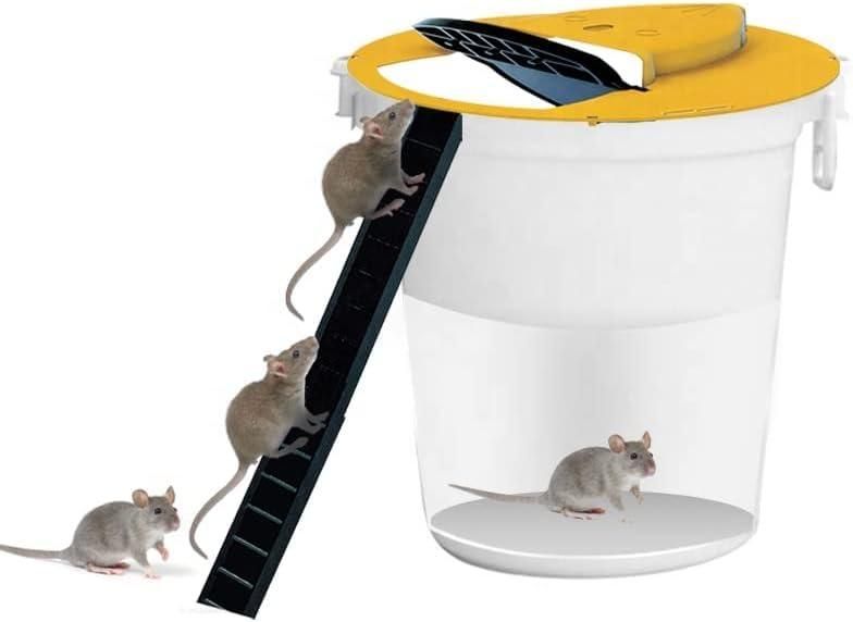 Slide Bucket Lid Mouse Rat Trap with Ramp