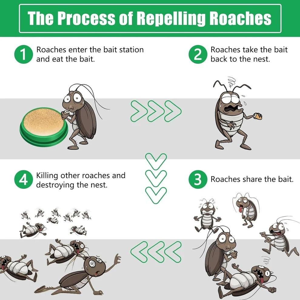 Cockroach Killer Gel | Powerful Roach Repellent Powder Gel