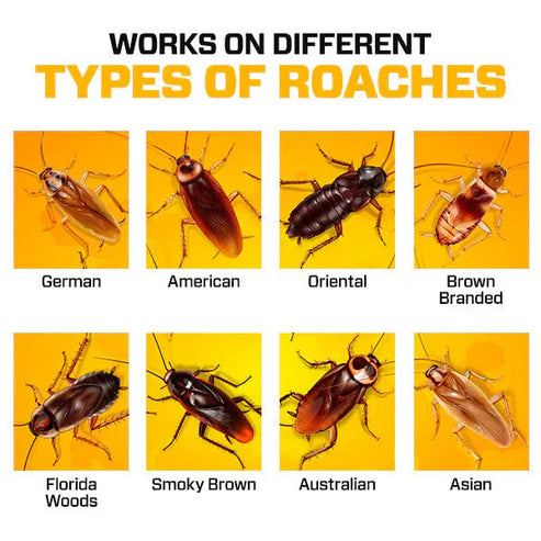 Cockroach Killer Gel | Powerful Roach Repellent Powder Gel